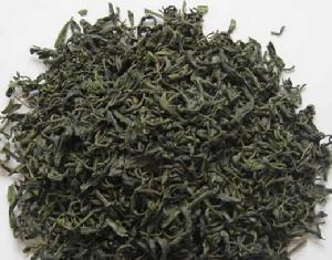 九日山石亭茶 九日山石亭茶