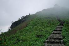 姑婆山森林公園