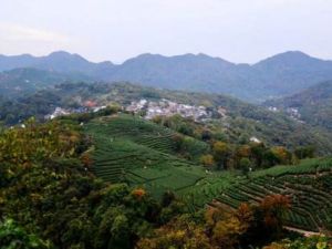 三台閣村 三台閣村