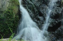 智泉珠瀑 智泉珠瀑