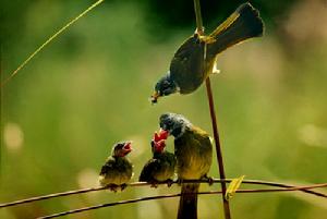 （圖）工作幸福感