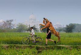 保羅·戈斯汀 保羅·戈斯汀