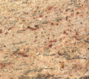 黃金法拉 | Giallo Fior |