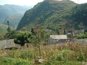 大坡上自然村 大坡上自然村