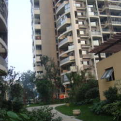 凱麗豪景 凱麗豪景