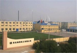 東北助劑化工有限公司 東北助劑化工有限公司