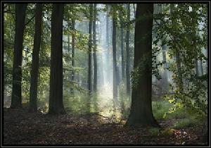 連康山國家級自然保護區