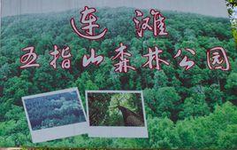 五指山森林公園 五指山森林公園