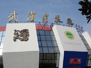 武漢雜技團 武漢雜技團