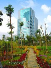 湛江經濟技術開發區