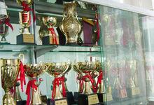 華嘉國小部分榮譽