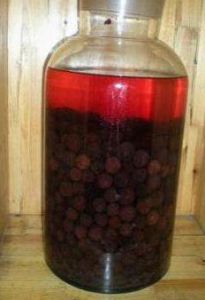 野楊梅酒 野楊梅酒