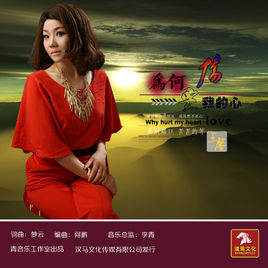 為何要傷我的心 為何要傷我的心