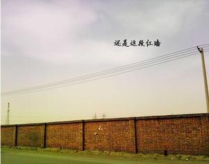 偽文藝青年 偽文藝青年