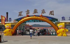 黑寶熊樂園 黑寶熊樂園