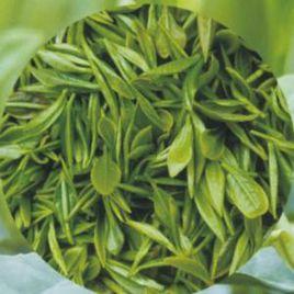 峨眉山有機茶 峨眉山有機茶