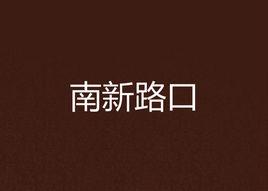 南新路口 南新路口