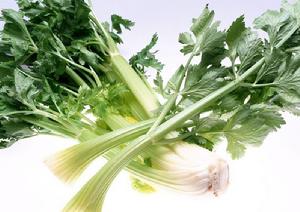 （圖）芹菜