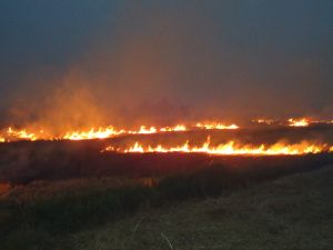 2012年6月黃色大霧事件 2012年6月黃色大霧事件