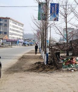 九連城鎮 九連城鎮