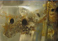 不鏽鋼[金屬材料]