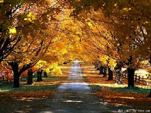 八一路[江蘇省沭陽縣八一路]