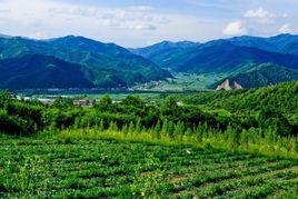 鰲山度假區 鰲山度假區