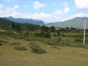 比七自然村 比七自然村