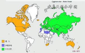 疣鼻天鵝分布圖