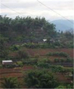 肖家寨自然村 肖家寨自然村