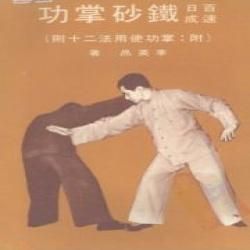 《百日速成鐵砂掌功 》 《百日速成鐵砂掌功 》