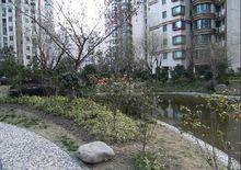 大唐盛世花園二期小區圖