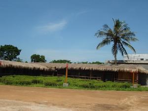東寨港紅樹林海岸