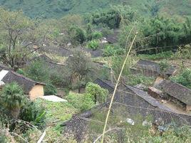 放牛場村委會 放牛場村委會