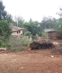 小梁子村 小梁子村