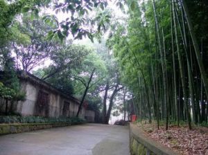 互助縣古城村 互助縣古城村
