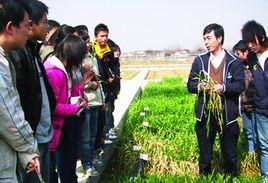 種子科學與工程 種子科學與工程