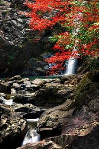 尤溪九阜山省級自然保護區 尤溪九阜山省級自然保護區