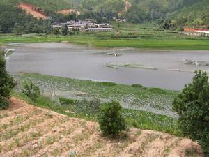 土老沖村[雲南省紅河州石屏縣異龍鎮土老沖村]
