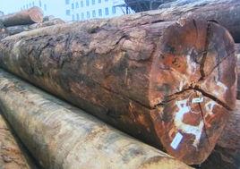 唐木[日本宗教用具對“烏木”的名稱]