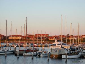 法爾松港口 法爾松港口