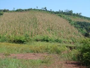 遇會場自然村 遇會場自然村