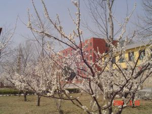 河北遠東職業技術學院