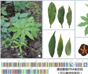 漕澗重樓 漕澗重樓