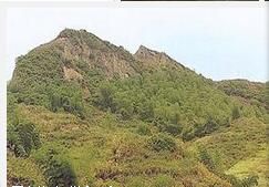 尖滅側現 尖滅側現