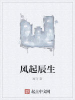 風起辰生 風起辰生