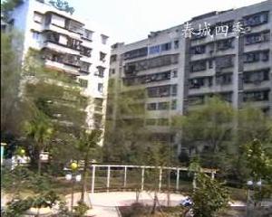春城四季 春城四季