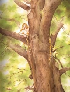 羅賓古德非羅 羅賓古德非羅