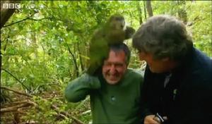 政府發言鳥 政府發言鳥