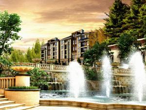 清山漫香林 清山漫香林